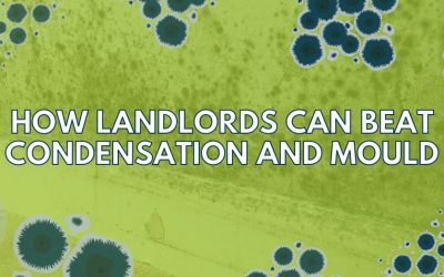 How to Prevent Mould and Condensation in Your Rental Property