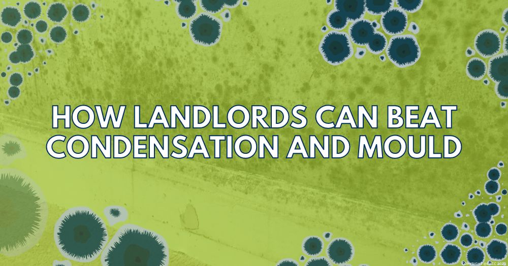 How to Prevent Mould and Condensation in Your Rental Property