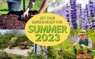 Get Your Walton On Thames Garden Ready for Summer 2023