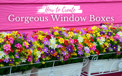 How to Create Gorgeous Window Boxes