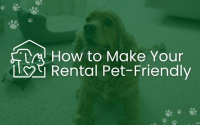 How to Make Your Walton On Thames Rental Pet-Friendly