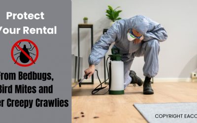 Protect Your Rental from Bedbugs, Bird Mites and Other Creepy Crawlies
