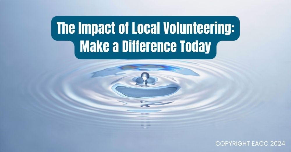 Boosting Community Spirit: Volunteering in Our Area